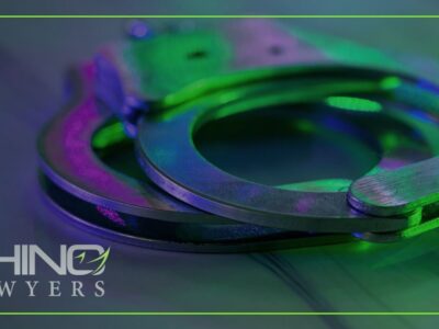 What Are the Consequences of Unpaid Traffic Citations?