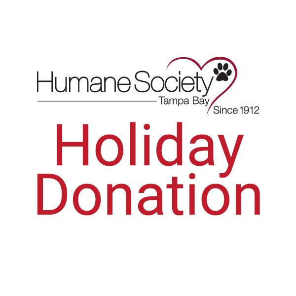 Giving Back To The Humane Society of Tampa Bay